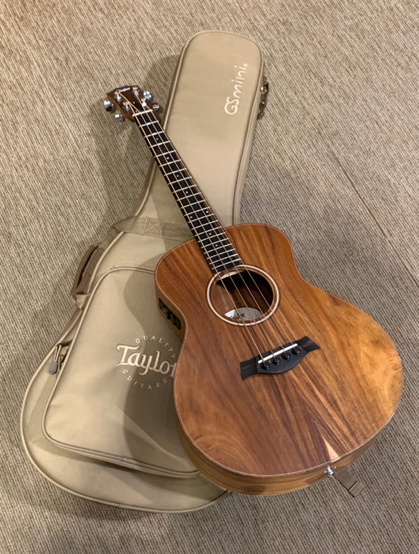 TAYLOR GS-Mini KOAの画像